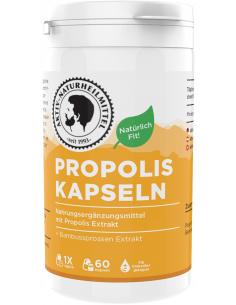 Aktiv Naturheilmittel Propolis Kapseln