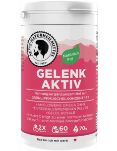 Gelenk Aktiv