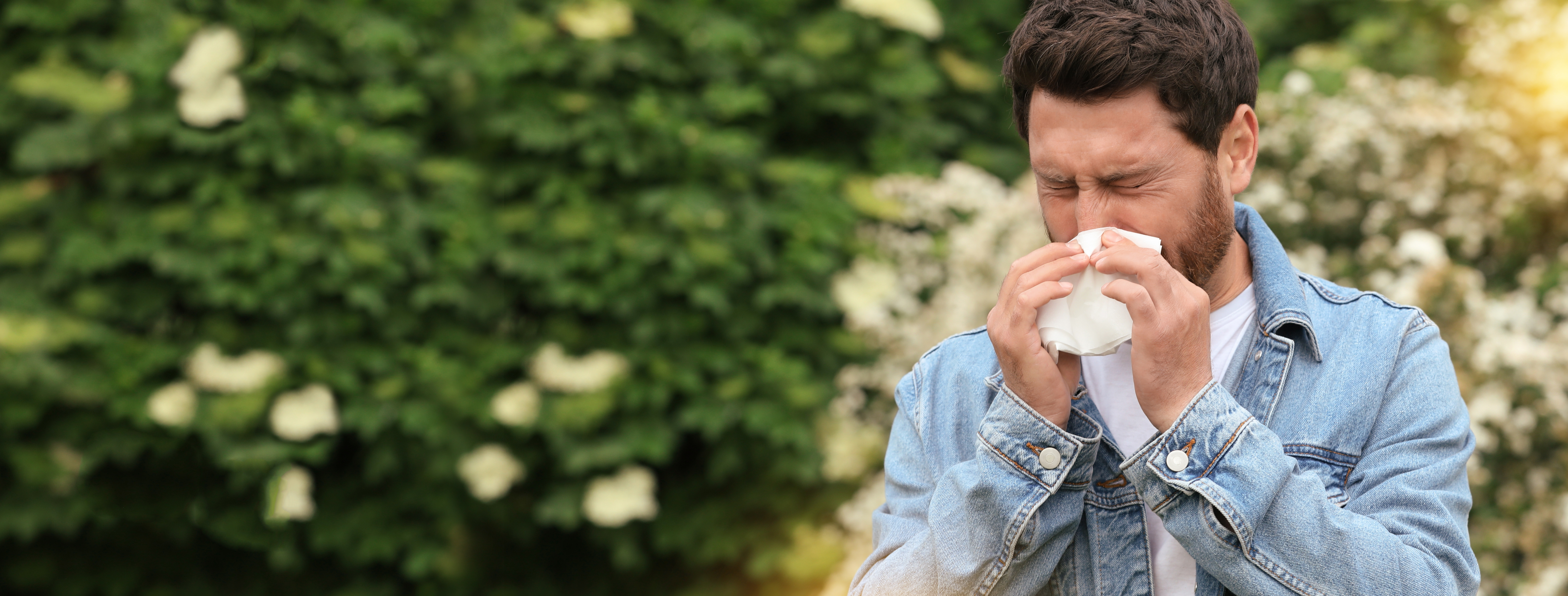 Pollenallergie