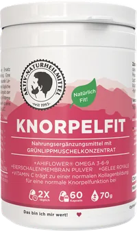 Knorpelfit